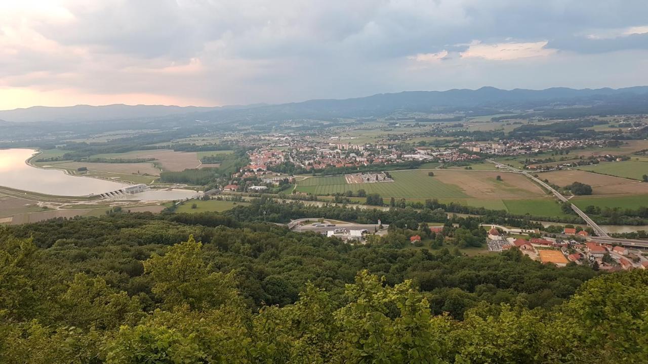 Villa Gnezdo Vid-ik Catez ob Savi Exterior foto